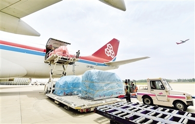 2025年河南省貨物進出口將突破萬億大關 國內貿易代理的機遇與挑戰