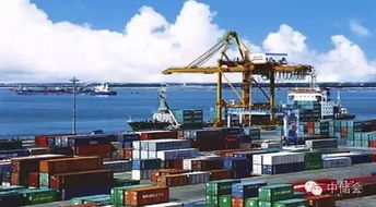 海關總署關于優惠貿易協定項下進出口貨物報關單填制規范及國內貿易代理實務指引